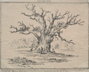 Fairlop Oak, 1811 door D. H. Redman