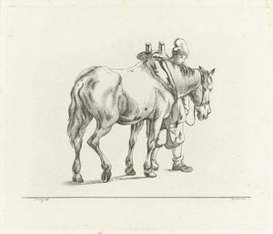 Man lopend naast een paard