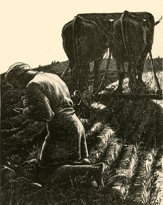 De Verborgen Schat door Dalziel Brothers