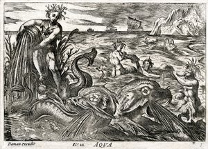 Aqua: allegorie van water door Daman