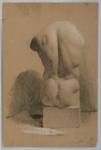 Mannelijke Torso van een Gipsafgietsel