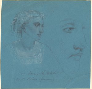 Studies voor "Het Woord Zaaien"