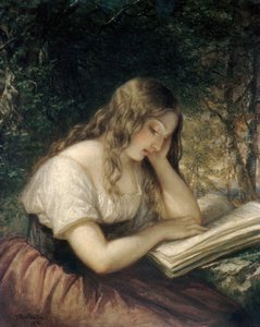 Studie in een Bos