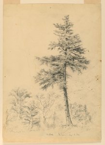 Studie van Hemlock, Gorham, New Hampshire