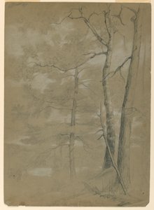 Studie van hemlock en beuk, White Lake door Daniel Huntington