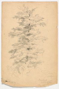 Studie van de hemlock bij White Lake
