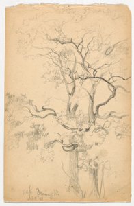 Studie van Eiken bij Dennings Point door Daniel Huntington
