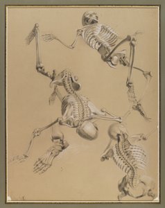 Studie van skeletten, 1848