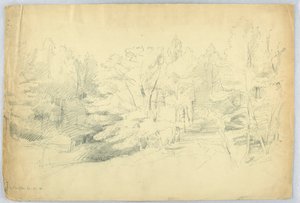 Bosrijke scène - West Campton, New Hampshire