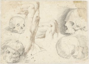 Vier studies van een schedel