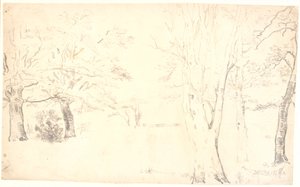 Landschap met verspreide bomen