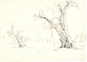 Landschap met grote eiken, links enkele huizen door Dankvart Dreyer