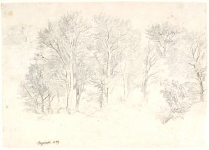 Studie van Bomen