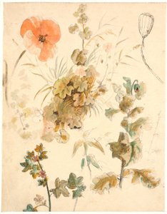 Studies van verschillende bloemen, waaronder klaprozen door Dankvart Dreyer