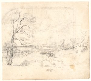 Uitzicht over een heuvelachtig en bosrijk landschap