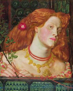 Schone Rosamund