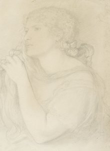 Studie van Fanny Cornforth, 1863