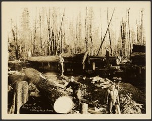 [Loggers]