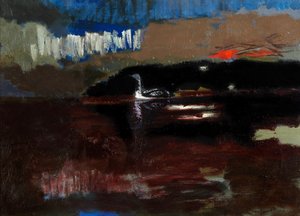 Zwartkeelduiker door David Alan Redpath Michie