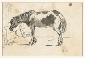 Staand paard en een liggende hond
