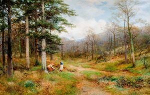 Op The Long Mynd, Church Stretton, 1907