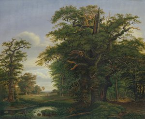 Eikenhout, 1847
