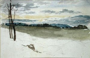 Boslandschap bij zonsondergang