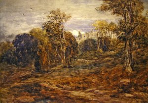 Barden Toren door David Cox