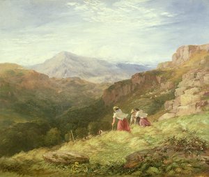 Hooien, Snowdon, 1847