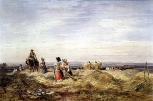 In het hooiveld door David Cox