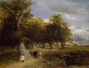 Randen van het bos, 1855 door David Cox