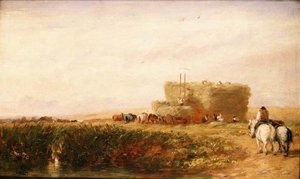 Het hooiveld door David Cox