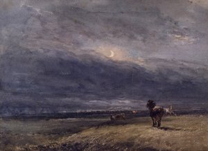 De Nachttrein