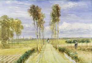 De populierenlaan door David Cox
