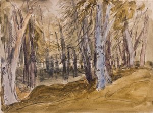 Bomen op Box Hill