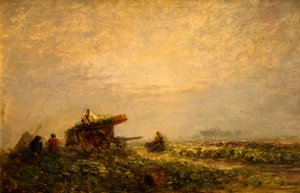 Markttuinders