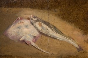 Studie van vis - Rog en Kabeljauw