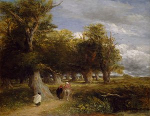 De randen van het bos, 1856 door David Cox the elder