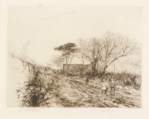 De wilde ganzen door David Foggie