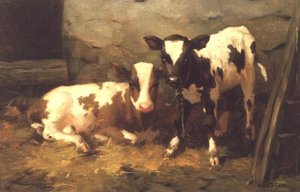 Kalfjes in een Schuur door David Gauld