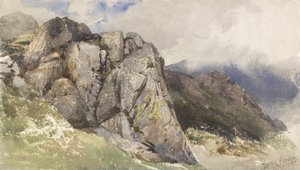 Bergrotsen