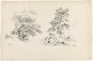 Kastanje en Pijnboom, 1869 door David Johnson