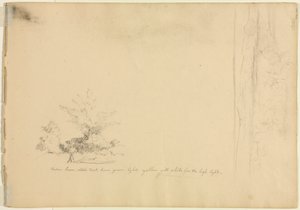 Landschaps- en boomstudies (verso) door David Johnson