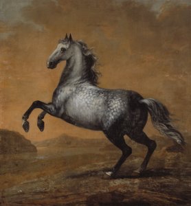 De kleine Engelsman, paard van koning Karl XI (1655-97)