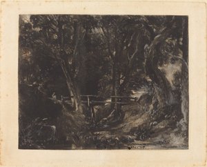 Een Dal in Helmingham Park, Suffolk door David Lucas after John Constable
