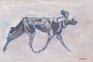 Afrikaanse wilde hond, 2024 door David Mayer