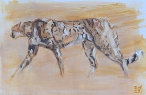 Cheetah