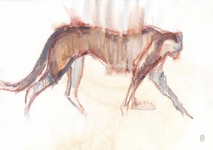 Jachtluipaard op Jacht