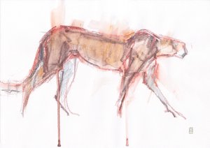 Jachtluipaard op Jacht