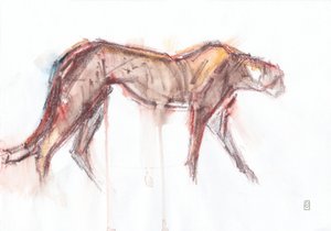 Jachtluipaard op jacht